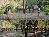 上海這座百年公園將“無縫銜接”這所百年校園？最新進度來了